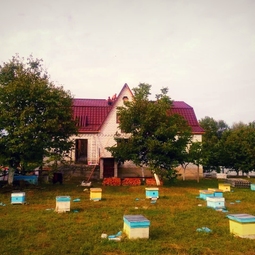 04_Pasika21_Ukrainian_Honey_Apiary_3.jpeg
