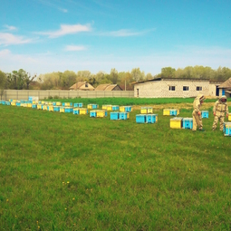 07_Pasika21_Ukrainian_Honey_Apiary_2.jpeg