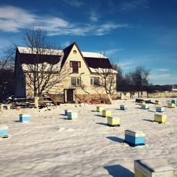 15_Pasika21_Ukrainian_Honey_Apiary_4.jpeg