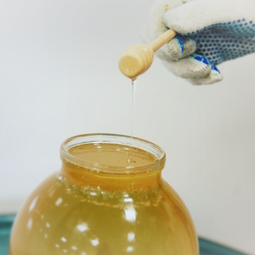 01_Pasika21_Ukrainian_Honey_4.JPG