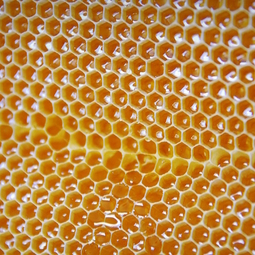 18_Pasika21_Ukrainian_Honey_16.JPG