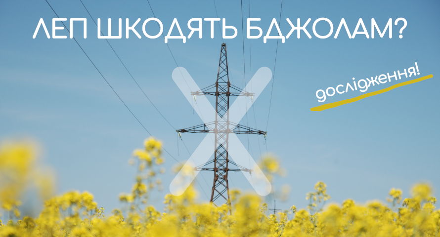 Чи шкідливі ЛЕП для бдіжл?
