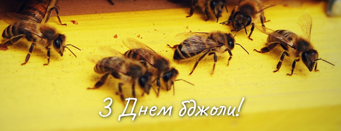 «Пасіка 21» вітає з Днем бджоли!