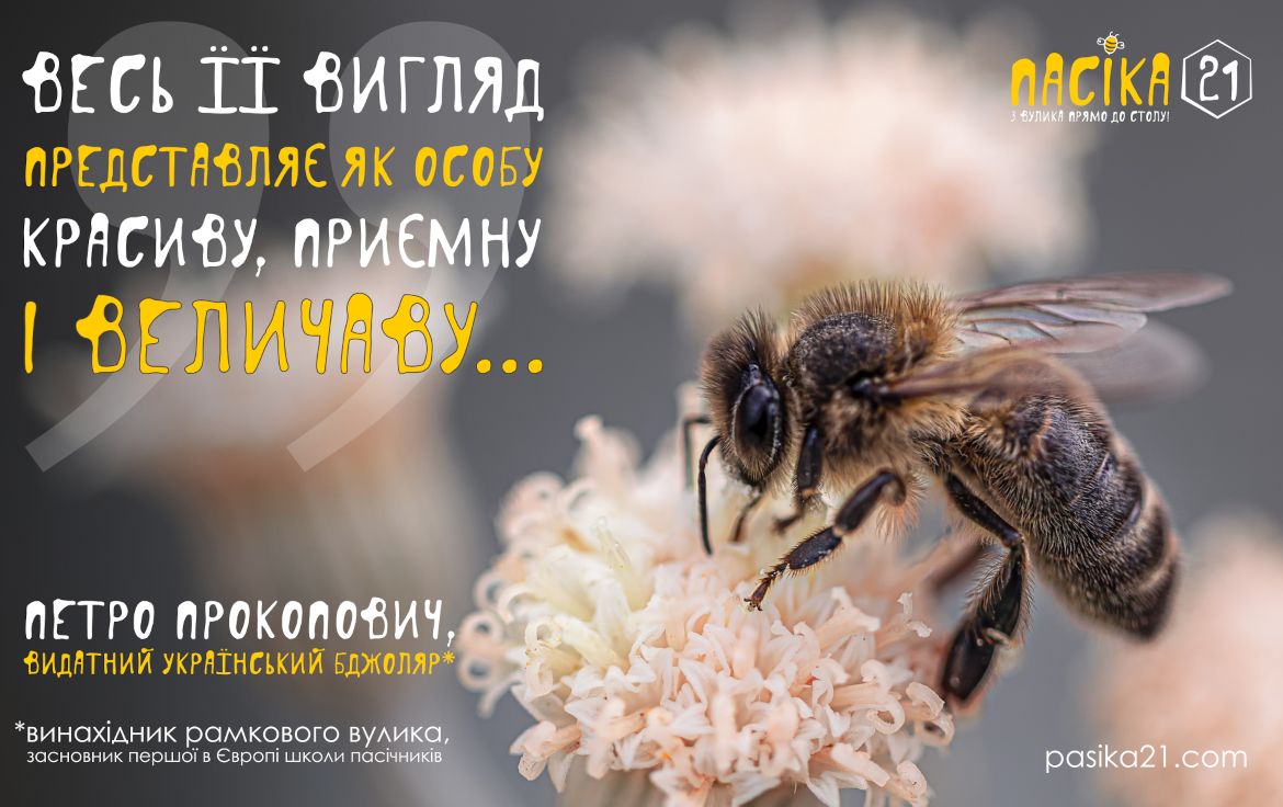 Цитата Петра Прокоповича