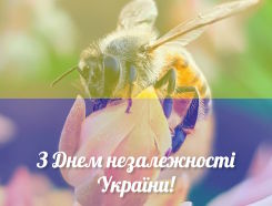 Вітаємо з Днем незалежності!